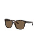 Emporio Armani 4209 - Brown